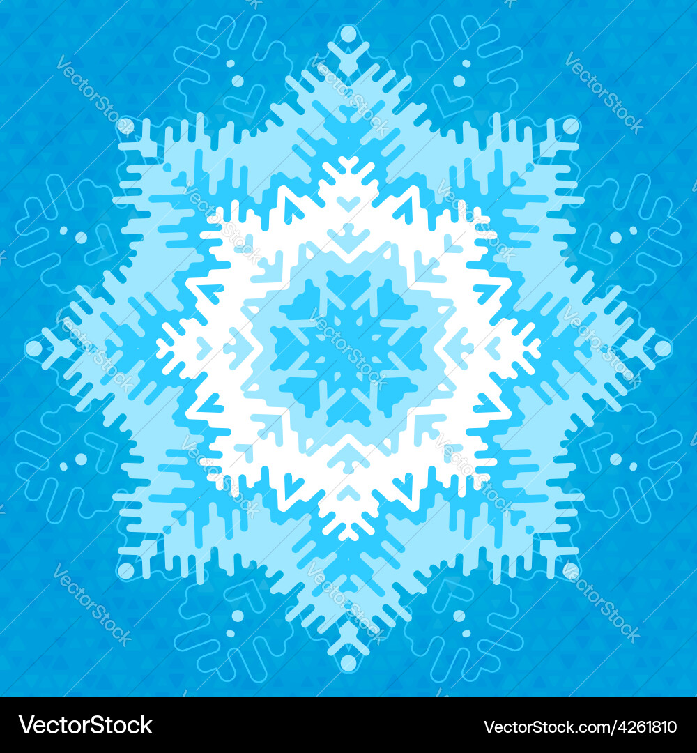 Frosty Snowflake Pattern vector image