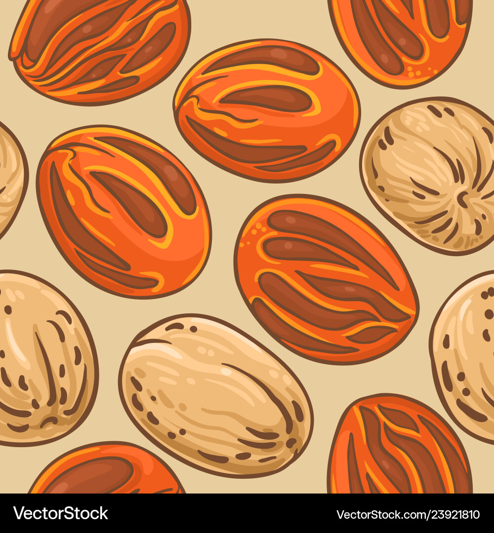 Nutmeg nuts pattern on color background Nutmeg nuts pattern on color background vector image