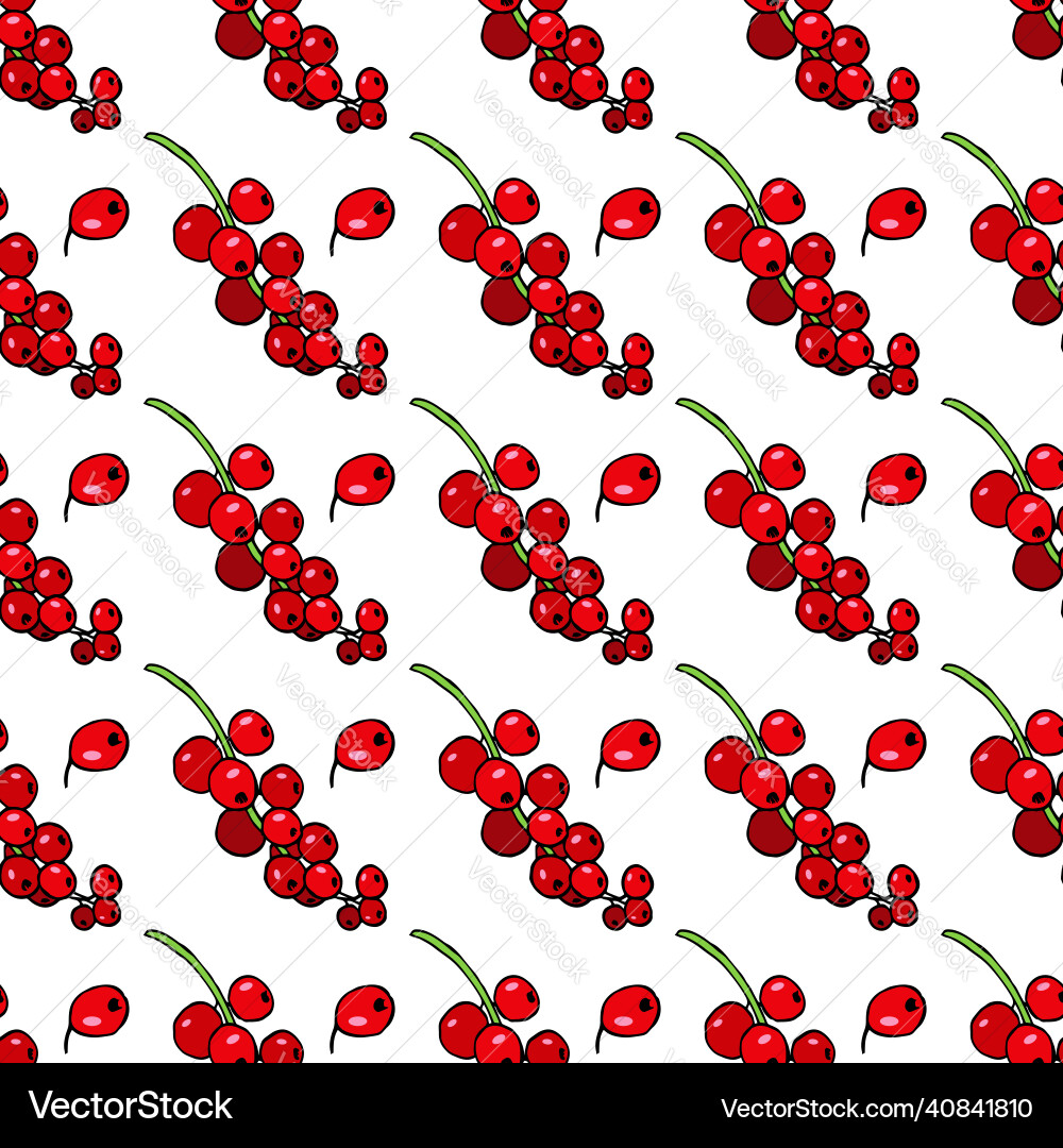 Seamless pattern with awesome red currant vector image