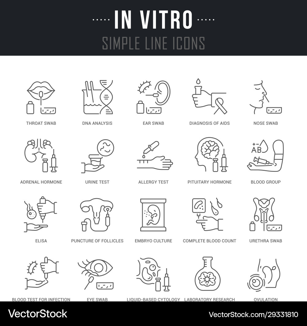 Set line icons in vitro vector image