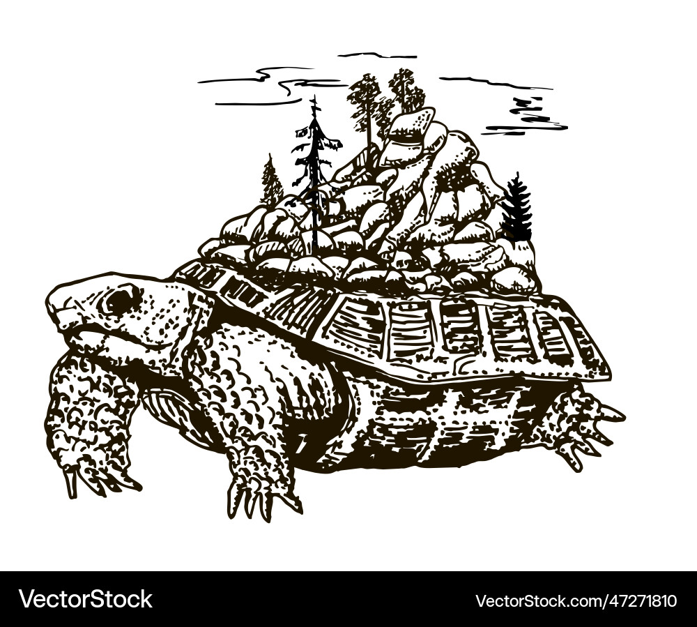 Typography with turtle Typography with turtle vector image