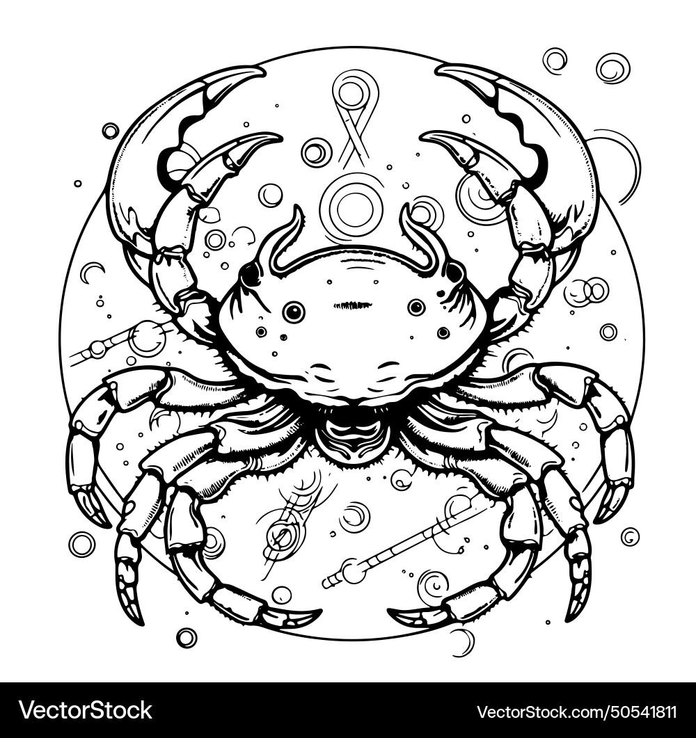Modern magic witchcraft card with astrology cancer vector image