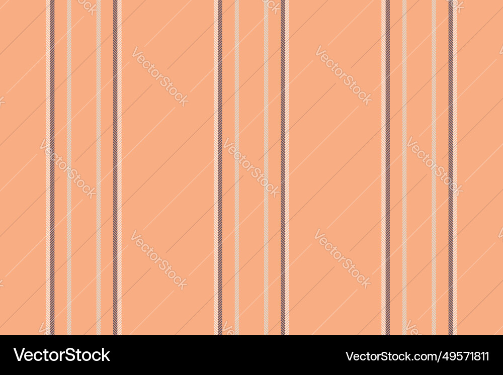 Vertical lines stripe background stripes pattern Vector Image