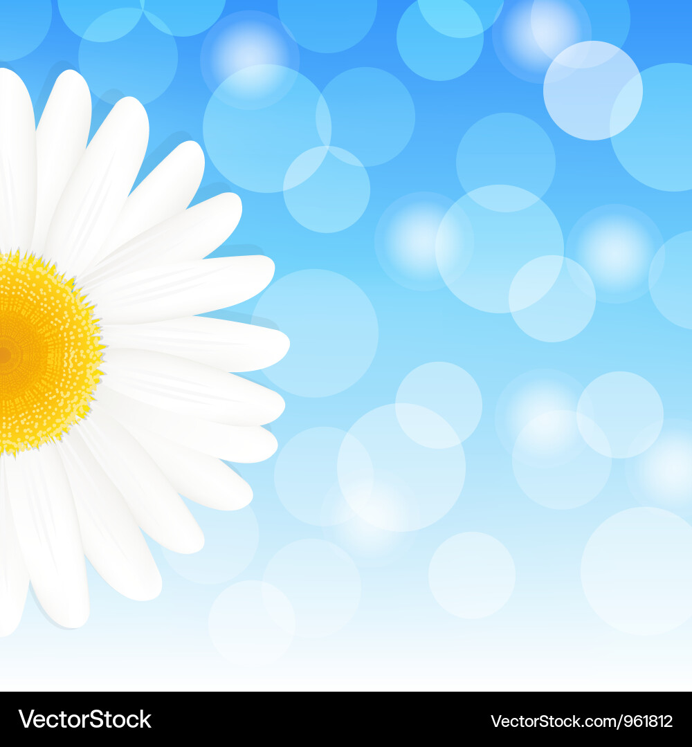 Daisy Bokeh Background Vector Image