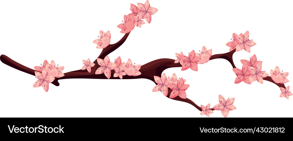 Sakura branch tree Vector Image