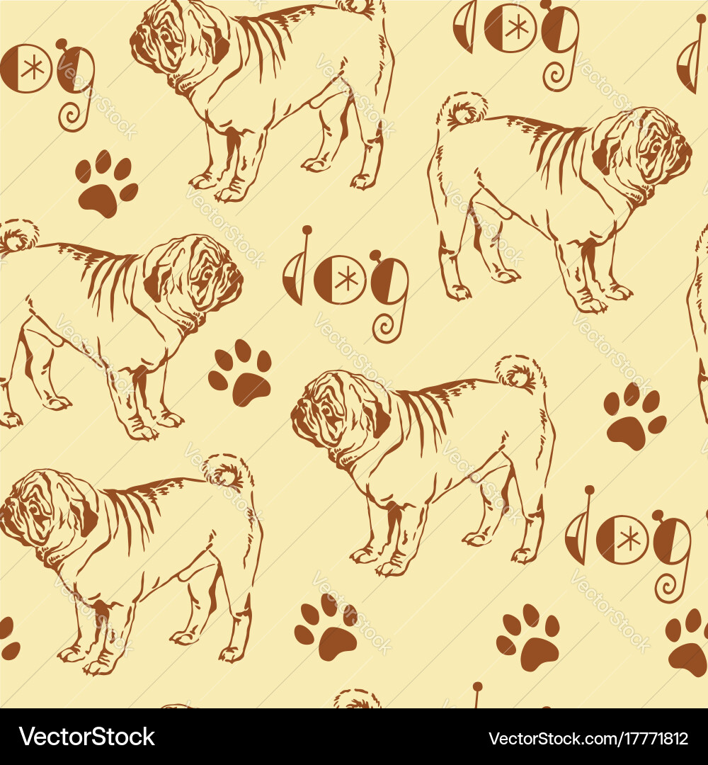 Seamless pattern with pug Vector Image