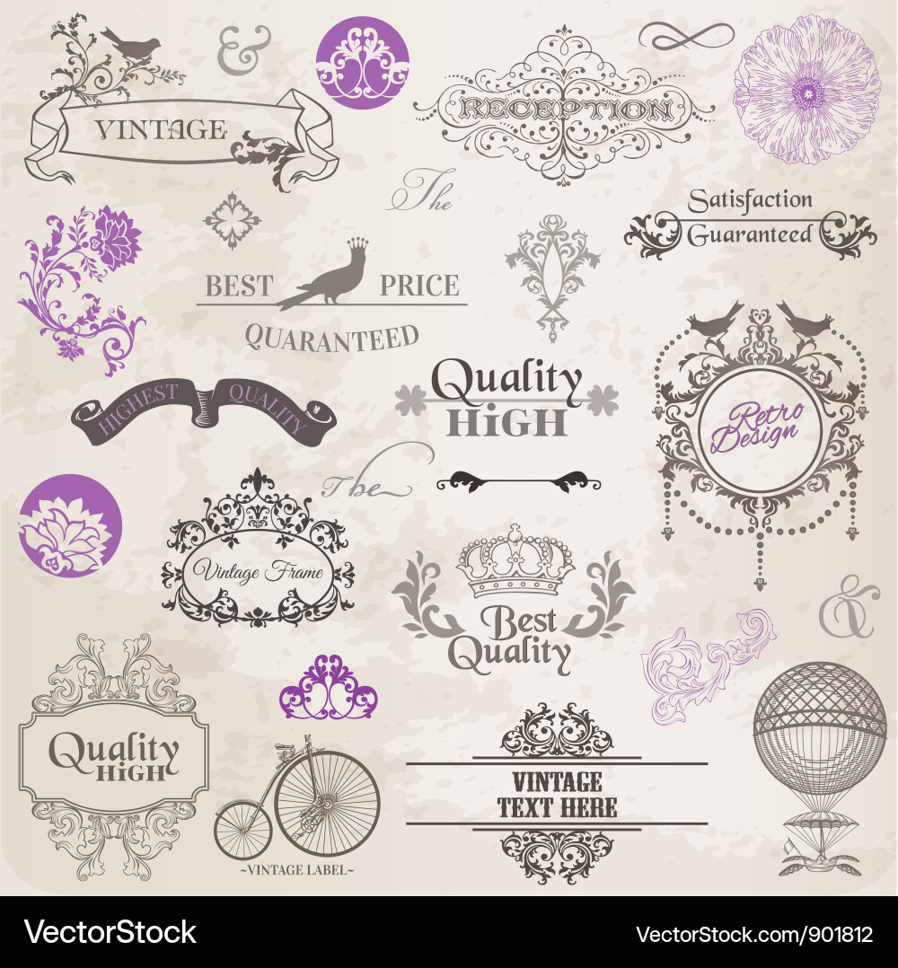 Set calligraphic design elements Royalty Free Vector Image
