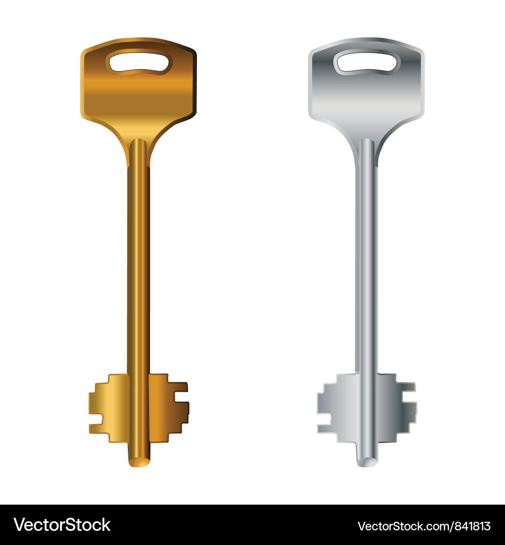 Old keys Vector Image