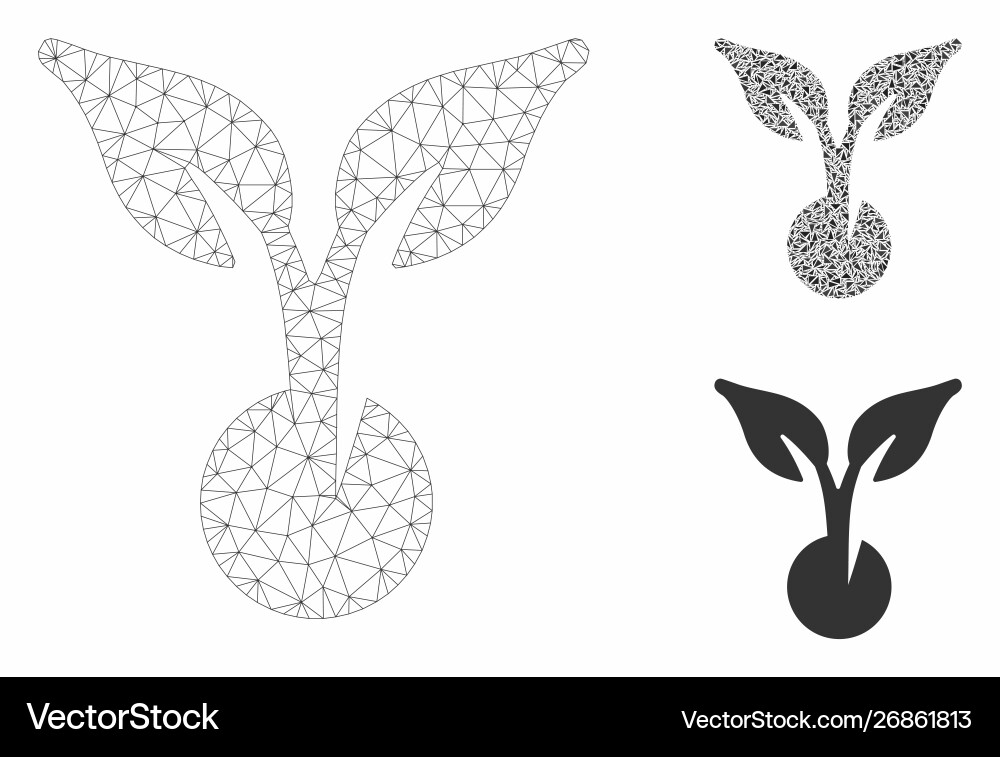 Seed sprout mesh network model and triangle Vector Image