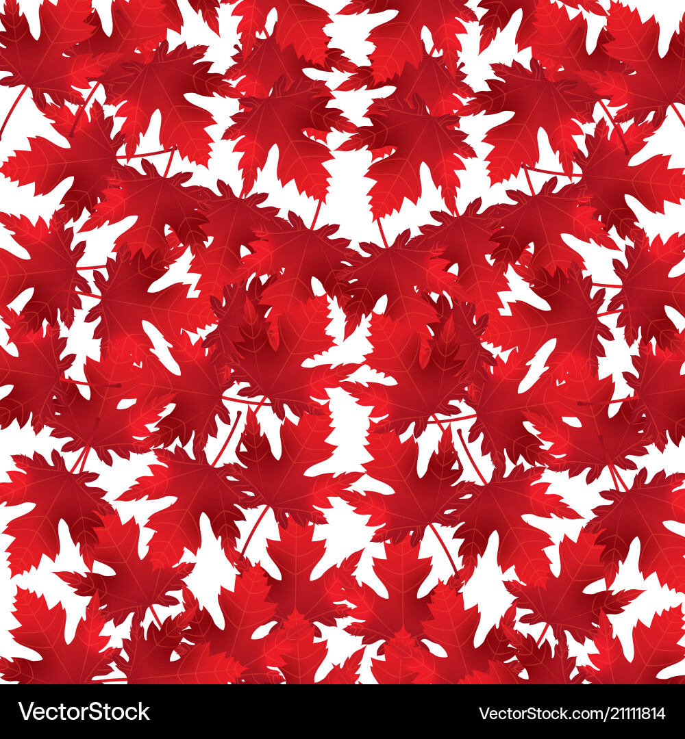 Red Maple Leaves Pattern vector image