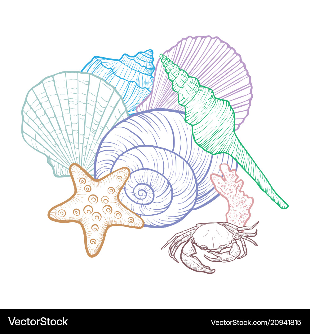 Background with seashells Background with seashells vector image