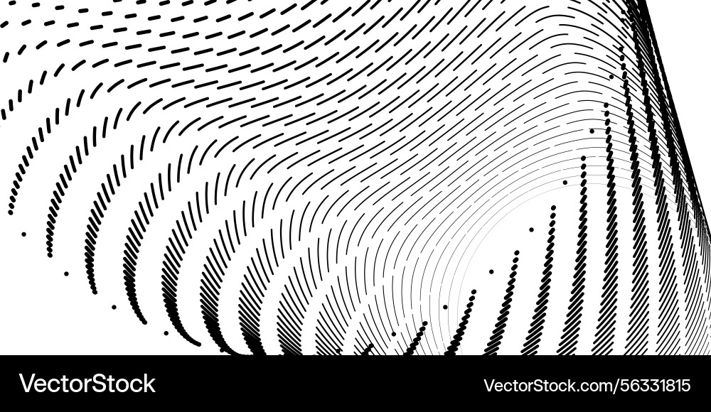 Black and white curved lines create dynamic design vector image