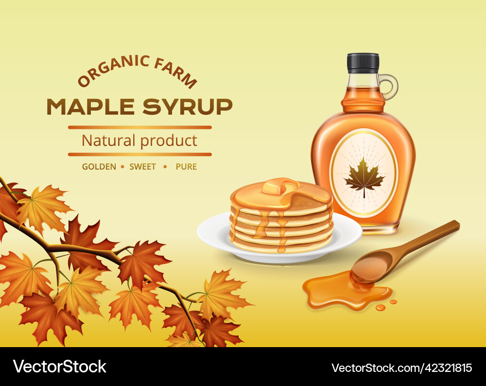 Maple syrup composition vector image