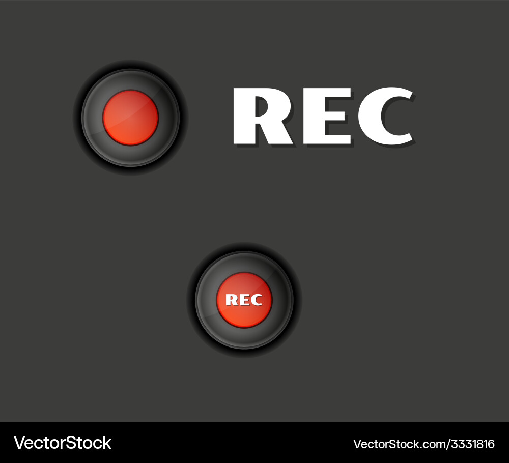 Rec button Vector Image