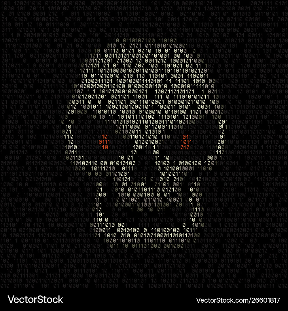 Digital code hacker skull Digital code hacker skull vector image