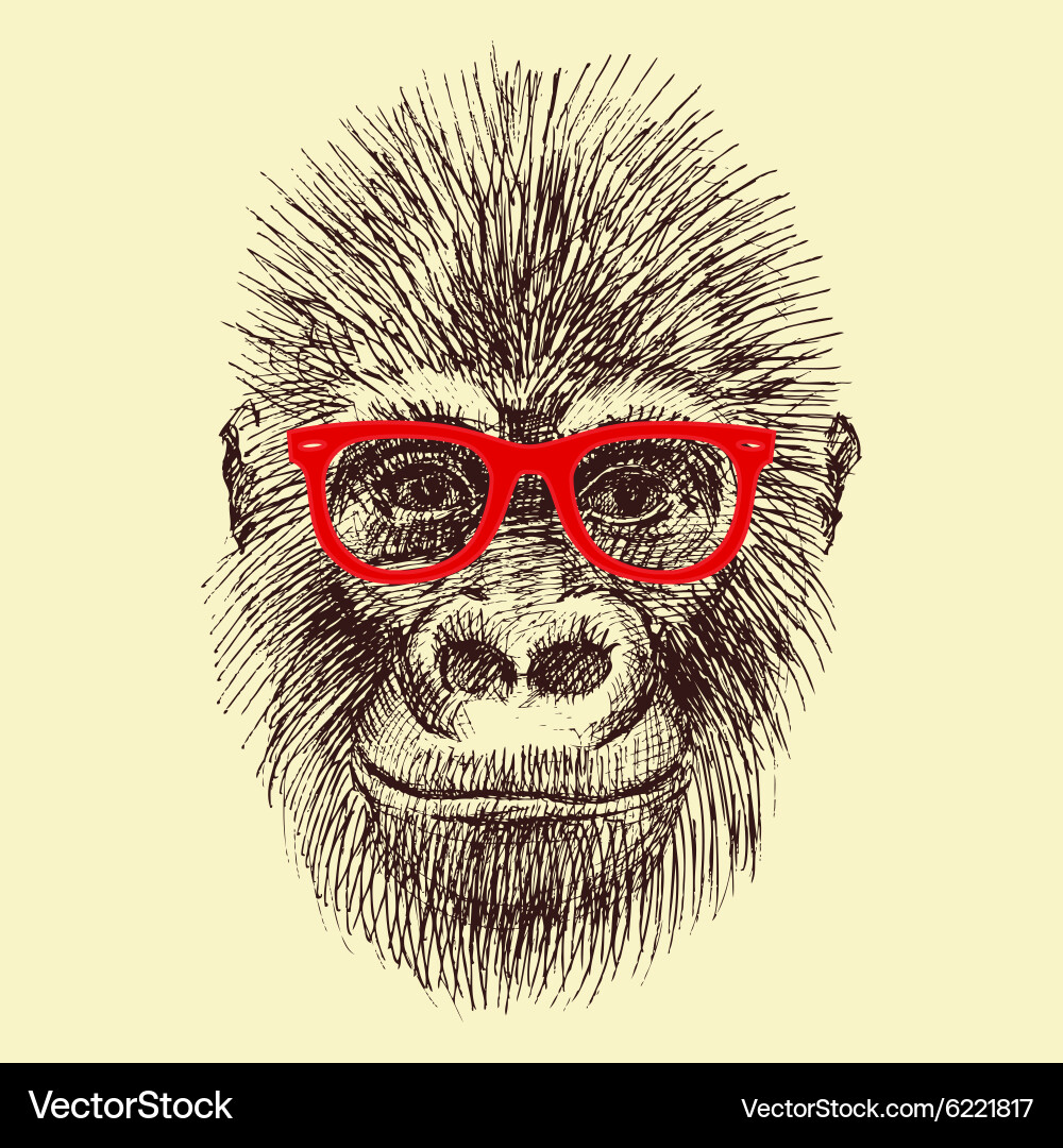 Monkey Face with Glasses Royalty Free Vector Image