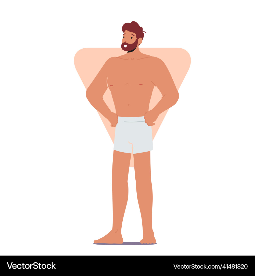 Man with inverted triangle body shape posing Vector Image