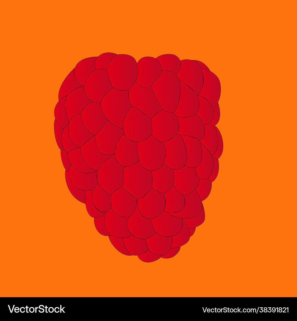 Abstract red raspberry isolated on orange Abstract red raspberry isolated on orange vector image
