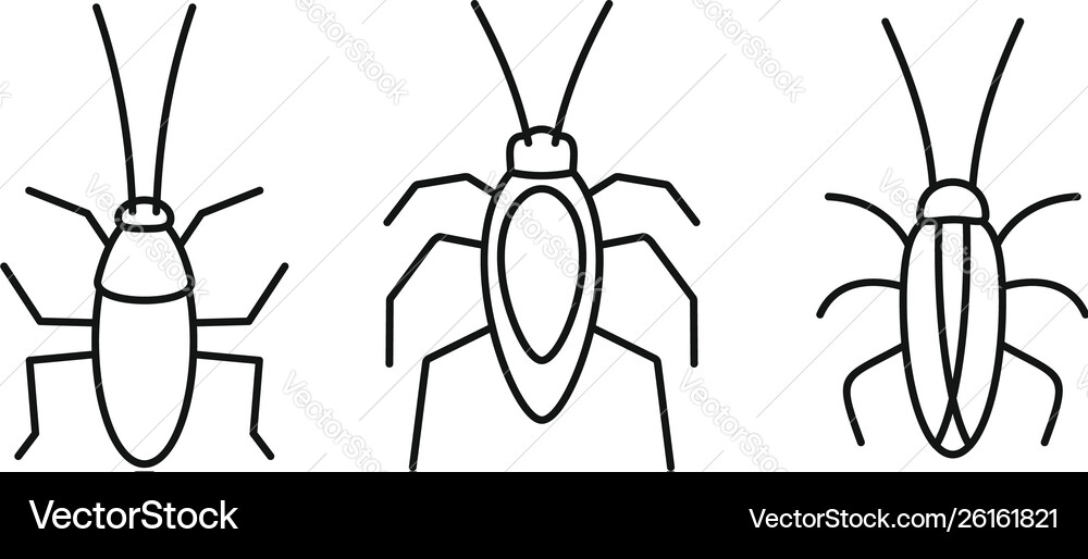 Cockroach bug icons set outline style Cockroach bug icons set outline style Vector Image