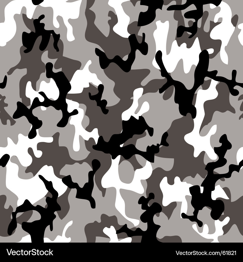 Grey Camouflage Pattern vector image