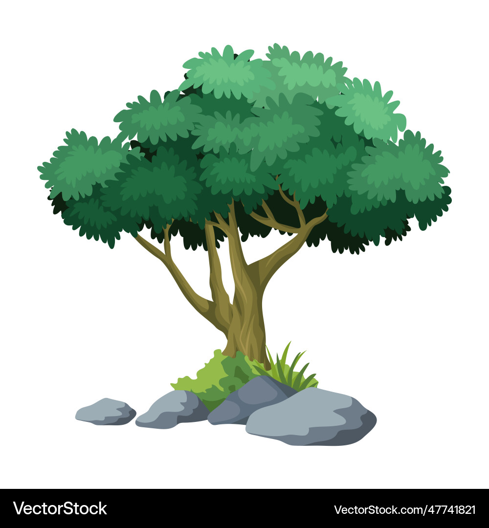 Tree with white background Tree with white background vector image
