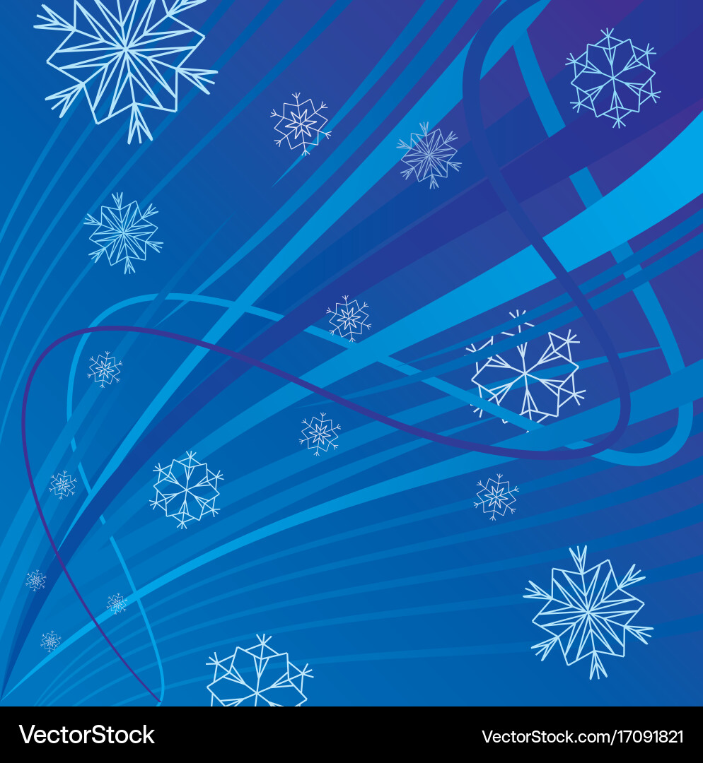 Winter Snowflake Pattern Vector Image
