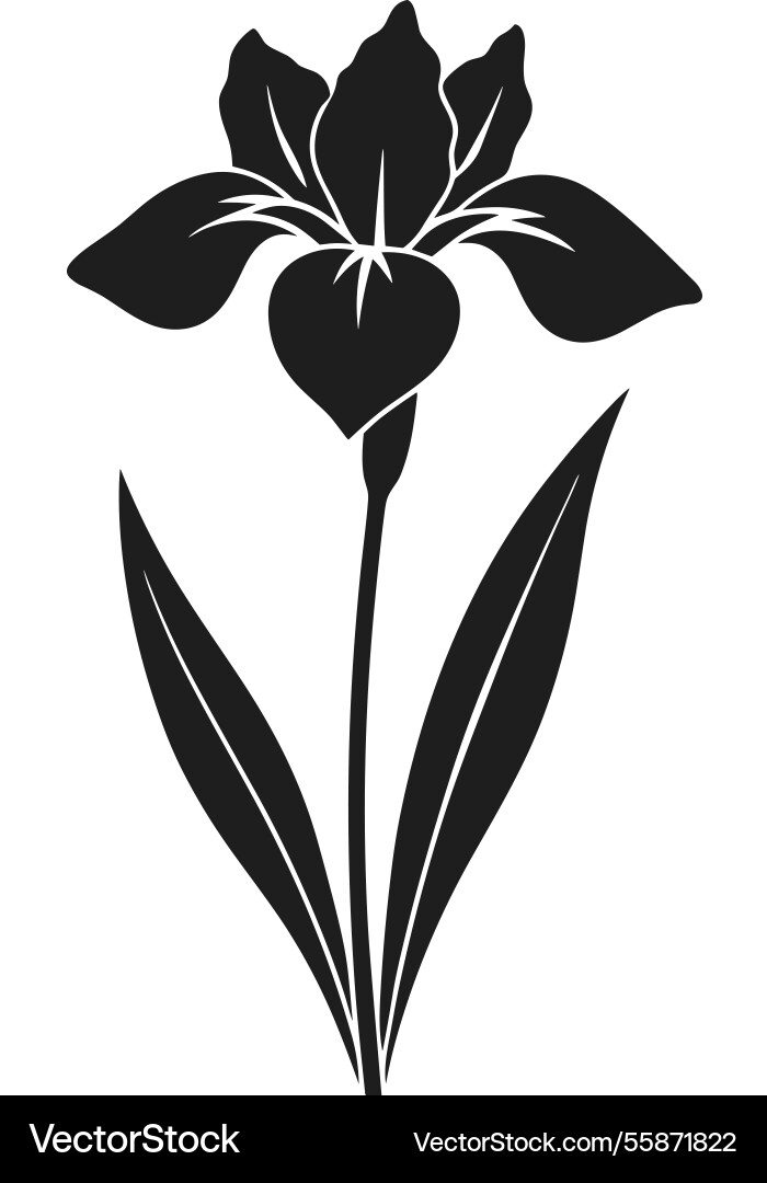 Elegant iris flower silhouette minimalist Elegant iris flower silhouette minimalist vector image