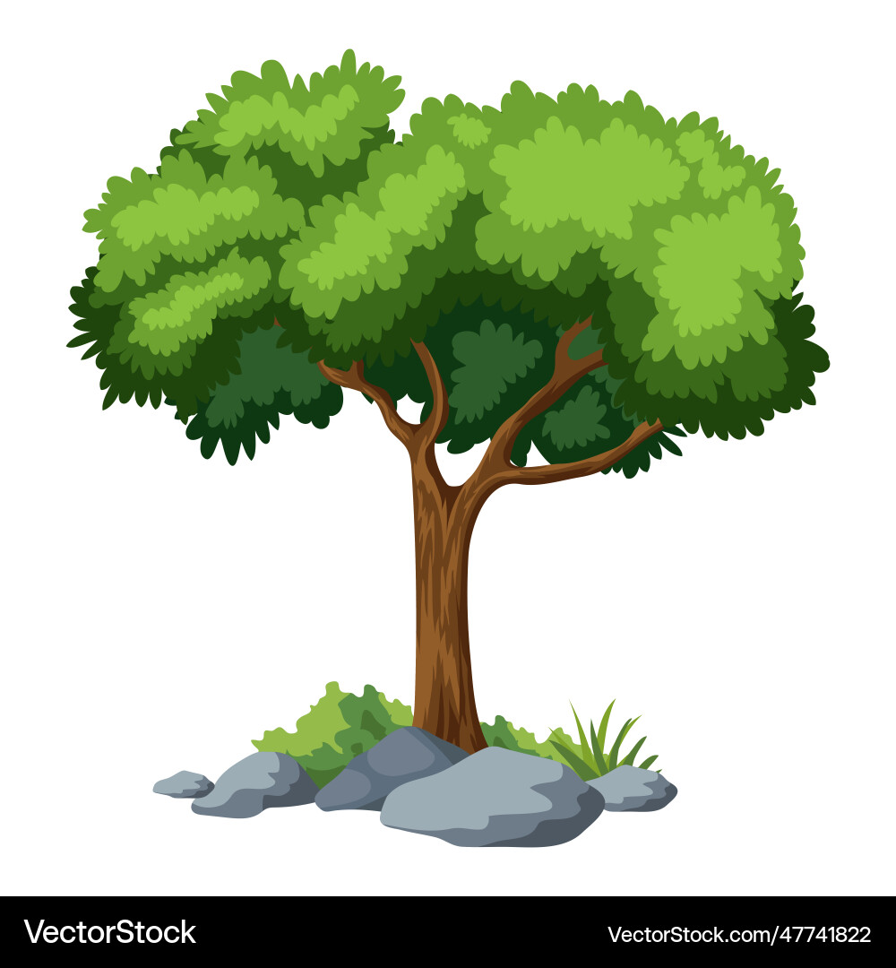 Tree with white background Tree with white background vector image
