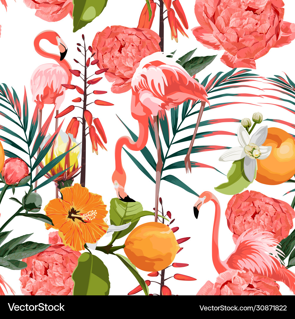 Tropical Orange Peonies & Flamingos Vector Image