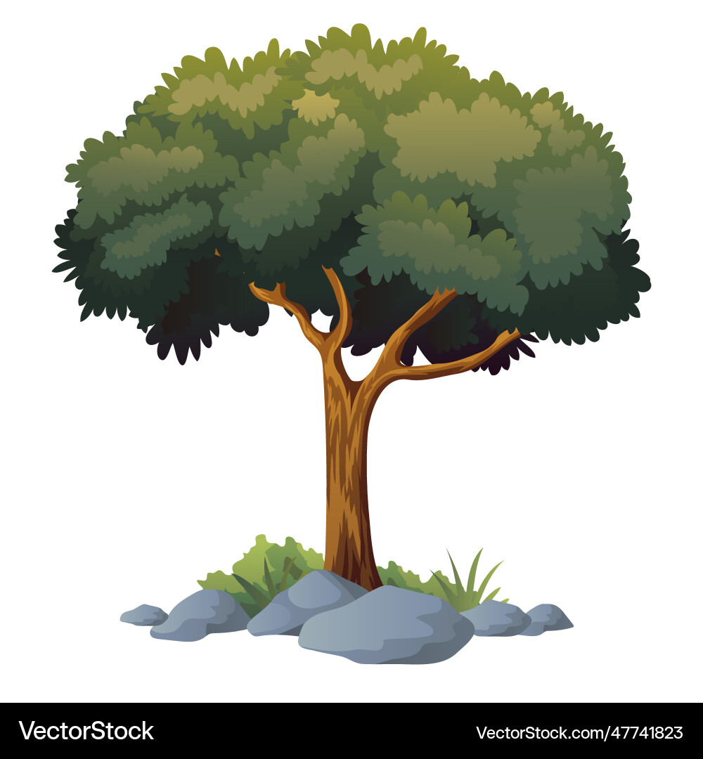 Tree with white background vector image