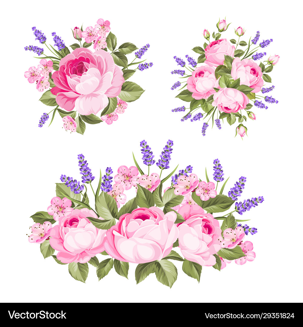 Romantic Rose & Lavender Bouquets Vector Image