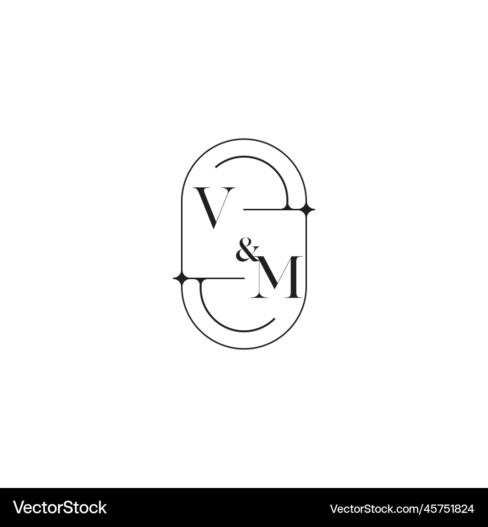 Vm line simple initial concept with high quality Vector Image