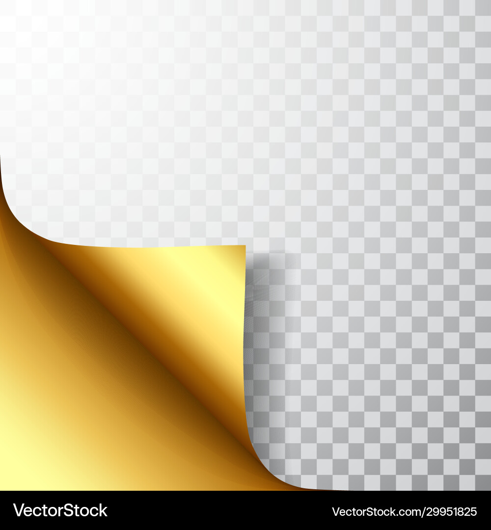 Paper page with curled corner and shadow template Vector Image