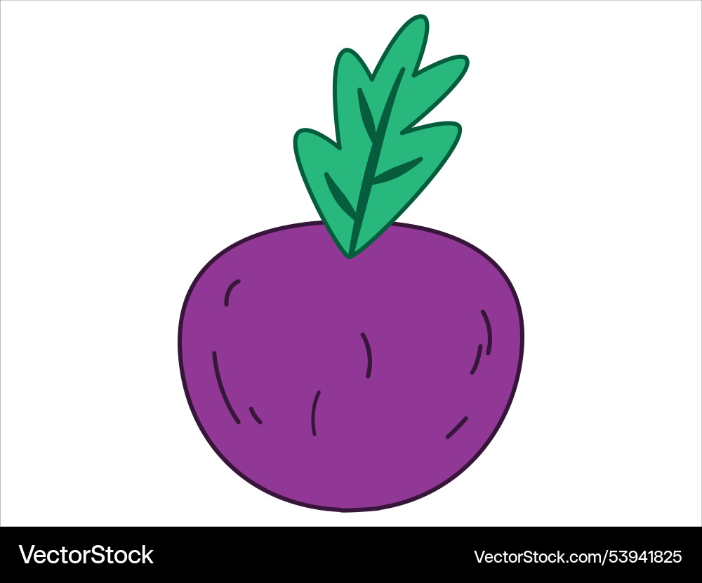 Wurzelgartenpflanze Wurzel Gemüserüben veggie Wurzelgartenpflanze Wurzel Gemüserüben veggie vektorbild