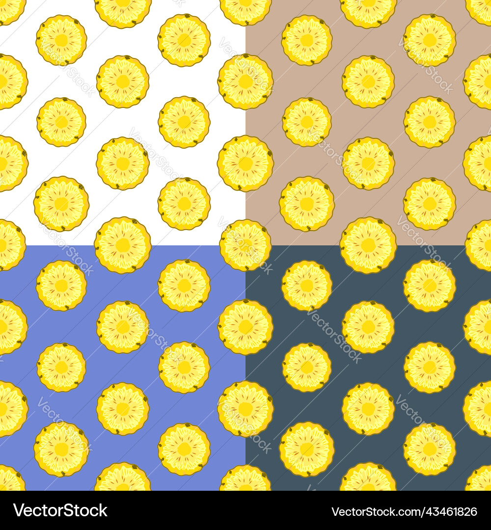 Set of seamless patterns with pineapple circle Set of seamless patterns with pineapple circle vector image