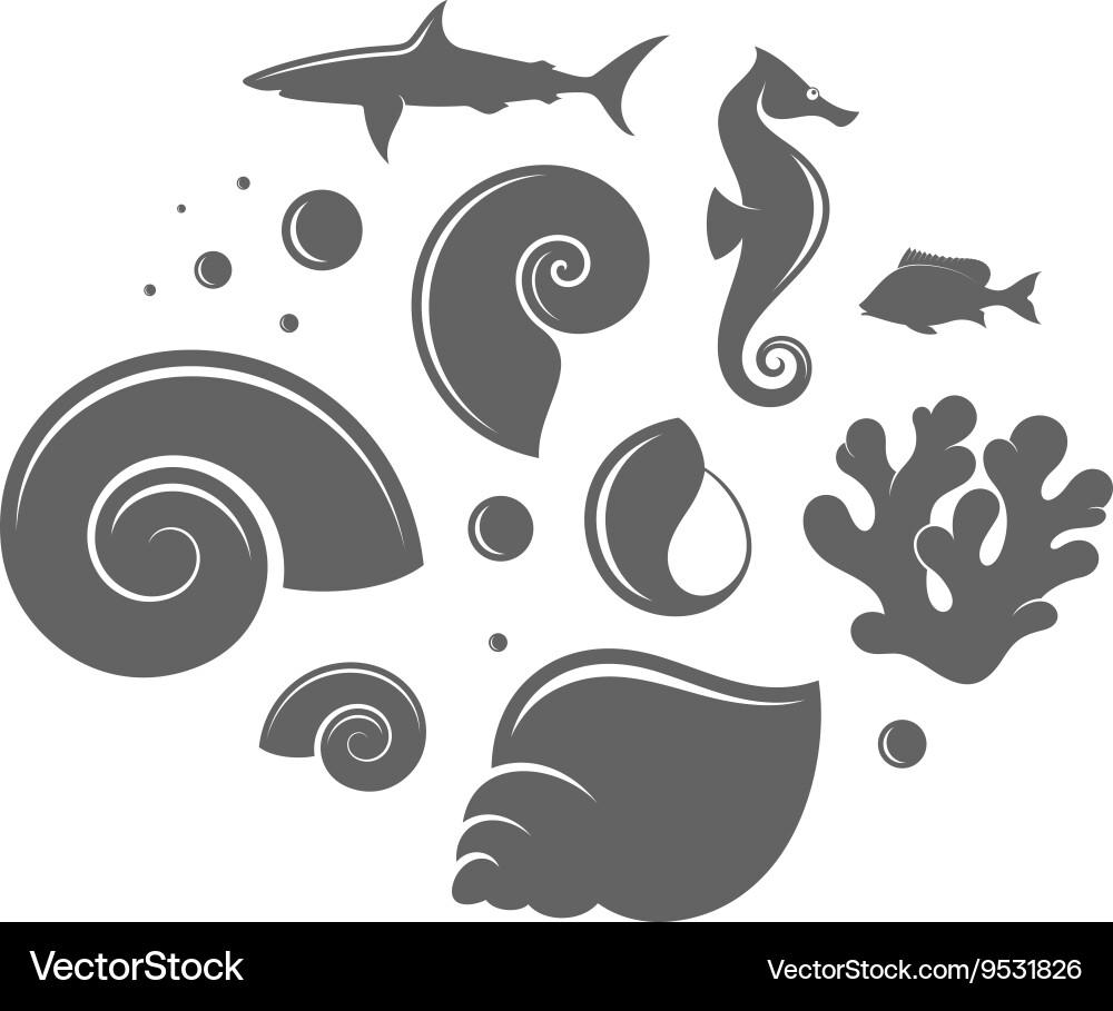 Shell and fish Royalty Free Vector Image - VectorStock