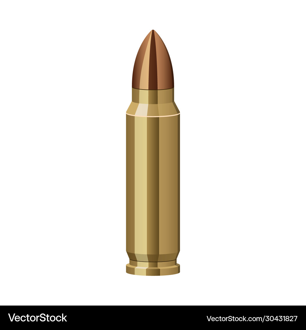 Gun bullet Gun bullet vector image