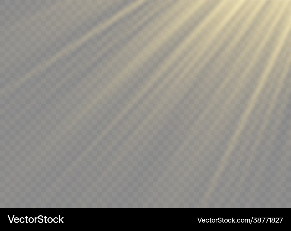 Sunlight Lens Flash Effekt Vektorbild