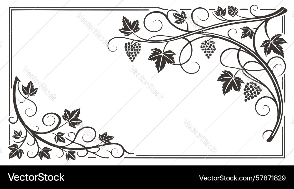 Decorative grapevine border element design Vector Image