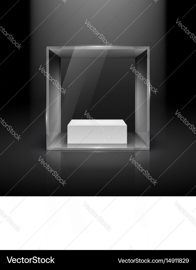 Glass showcase in cube form with spot light vector image