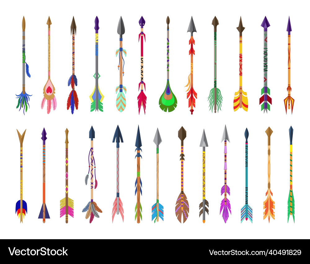 Set of arrows with feathers Vector Image