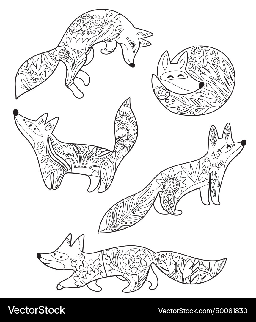 Set of five sweet foxes with floral pattern vector image