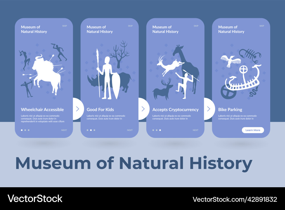 Museum natural history mobile application stages Museum natural history mobile application stages vector image