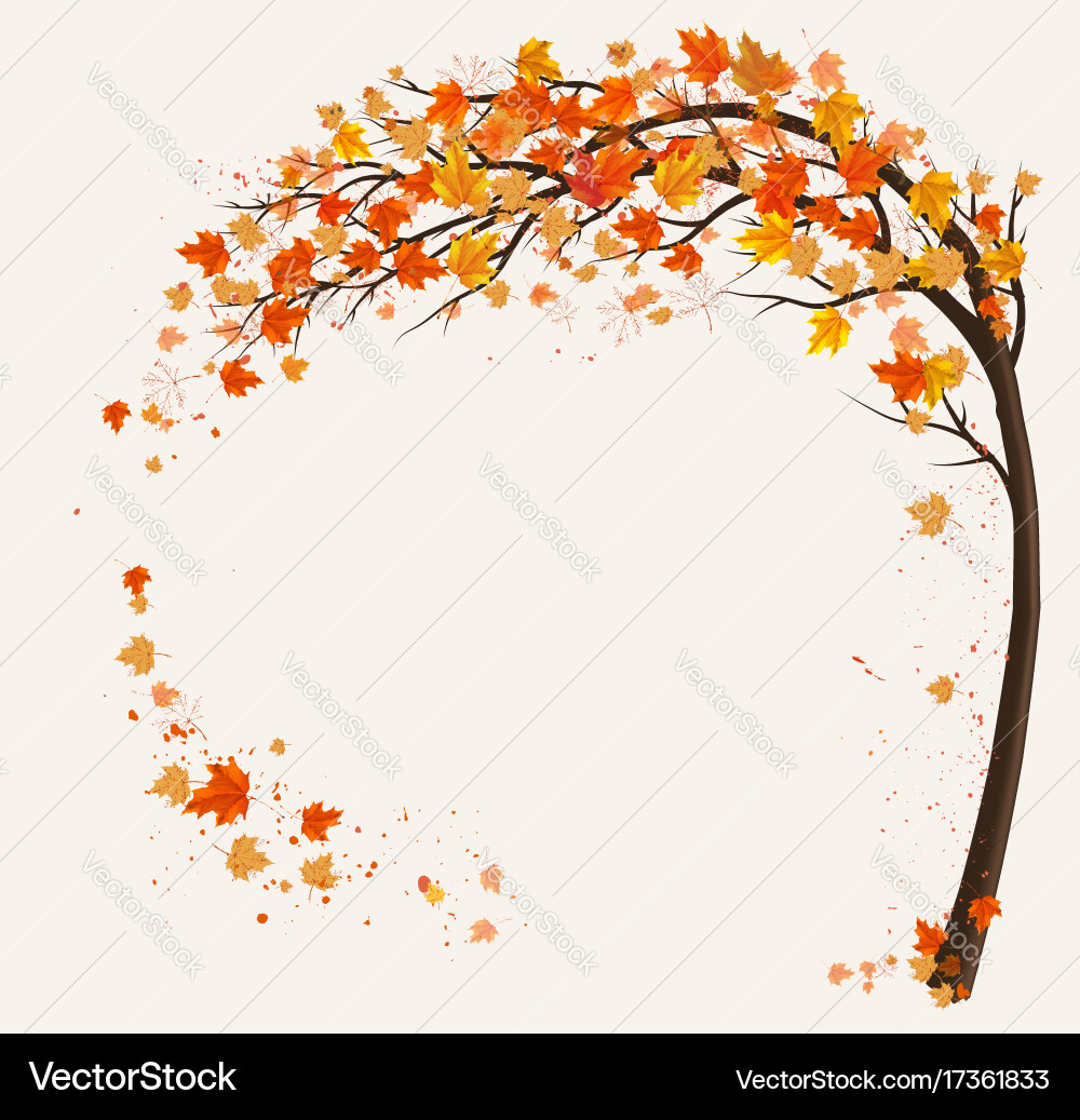 Autumn Tree Background with Colorful Leaves vector image