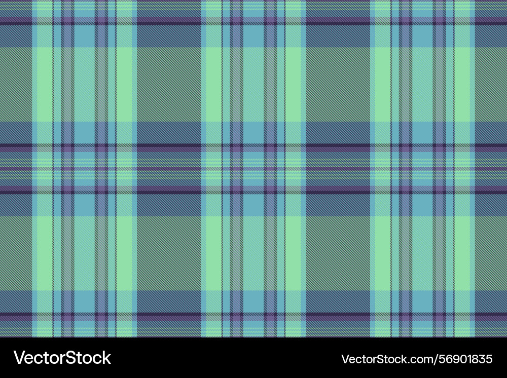 Grungy fabric plaid texture random background Vector Image