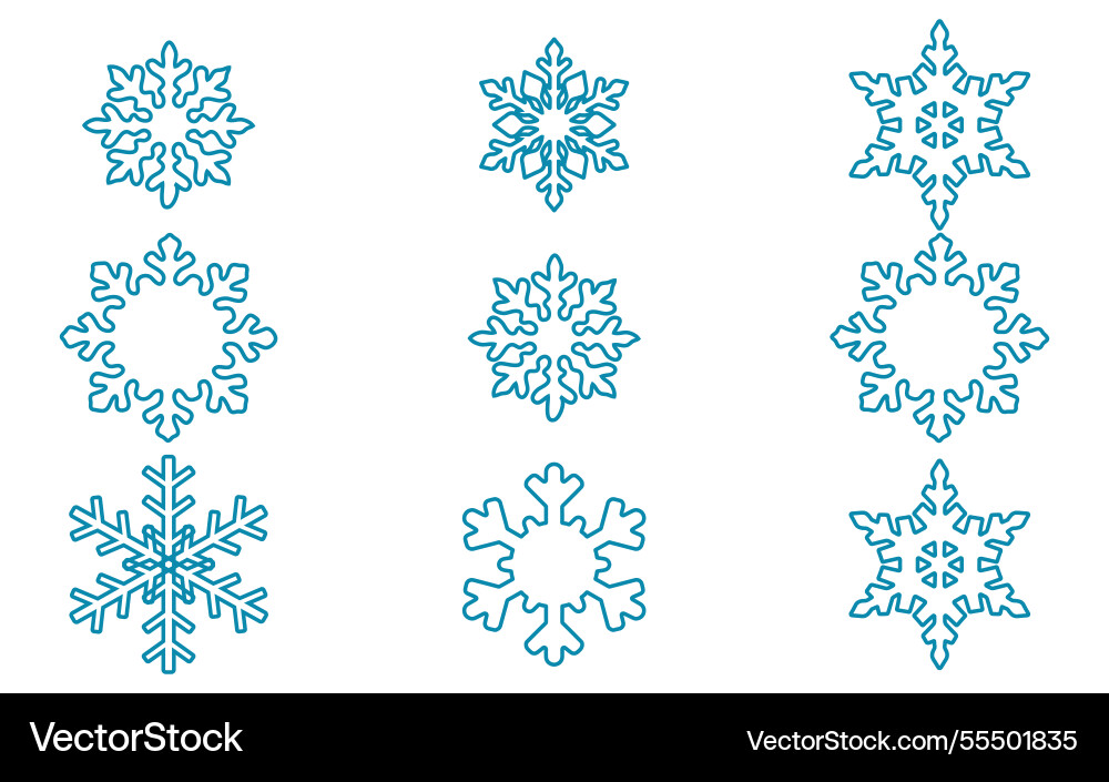 Intricate snowflake collection in various Intricate snowflake collection in various Vector Image