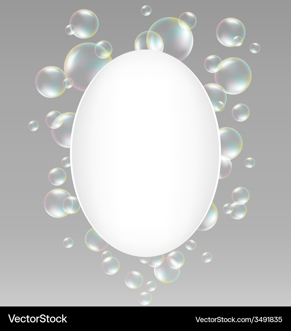 Soap bubbles with frame on grayscale vector image
