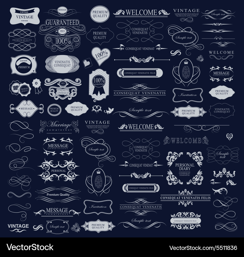 Set of calligraphic elements for design Vector Image
