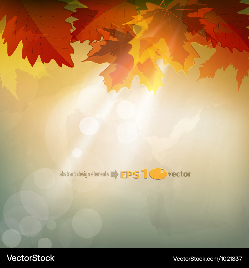 Autumn Gradient Background vector image
