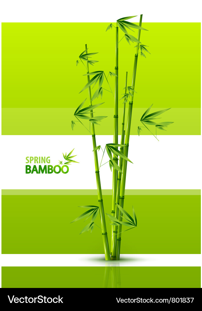 Bamboo Gradient Background Vector Image